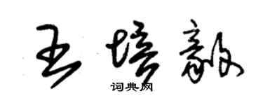 朱锡荣王培毅草书个性签名怎么写