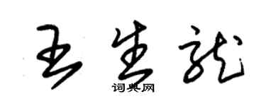 朱锡荣王生龙草书个性签名怎么写