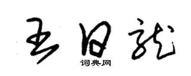 朱锡荣王日龙草书个性签名怎么写
