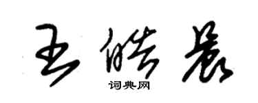 朱锡荣王皓晨草书个性签名怎么写
