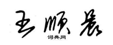 朱锡荣王顺晨草书个性签名怎么写