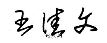 朱锡荣王佳文草书个性签名怎么写