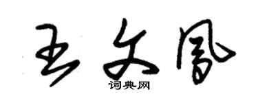 朱锡荣王文凤草书个性签名怎么写