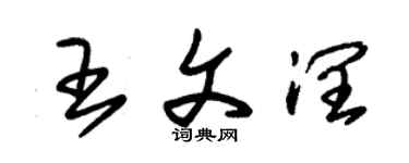 朱锡荣王文润草书个性签名怎么写