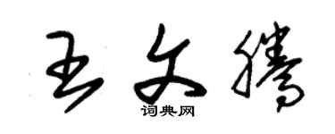 朱锡荣王文腾草书个性签名怎么写