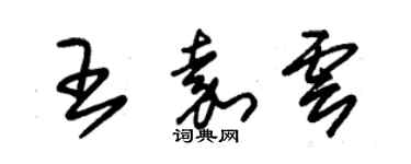 朱锡荣王嘉云草书个性签名怎么写