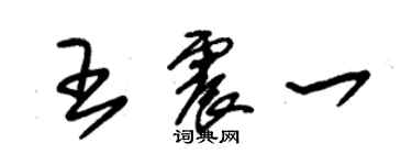 朱锡荣王震一草书个性签名怎么写