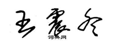 朱锡荣王震冬草书个性签名怎么写