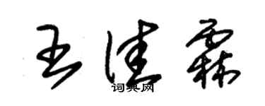 朱锡荣王佳霖草书个性签名怎么写