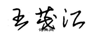 朱锡荣王茂江草书个性签名怎么写