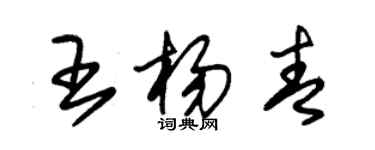 朱锡荣王杨青草书个性签名怎么写