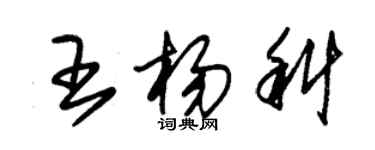 朱锡荣王杨科草书个性签名怎么写