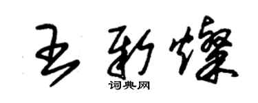 朱锡荣王新灿草书个性签名怎么写