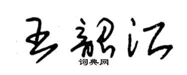 朱锡荣王韶江草书个性签名怎么写