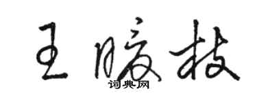 骆恒光王暖枝草书个性签名怎么写