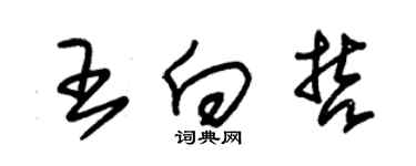 朱锡荣王向哲草书个性签名怎么写