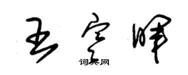 朱锡荣王寒晖草书个性签名怎么写