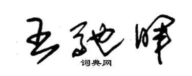 朱锡荣王驰晖草书个性签名怎么写