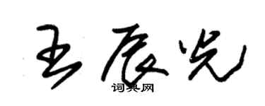 朱锡荣王辰光草书个性签名怎么写