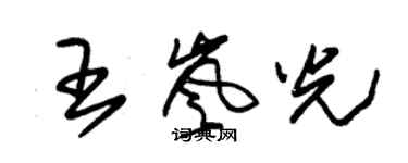 朱锡荣王岚光草书个性签名怎么写