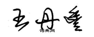朱锡荣王丹丰草书个性签名怎么写