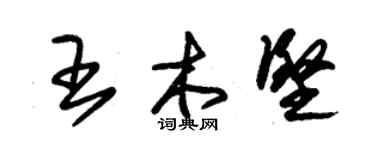 朱锡荣王木坚草书个性签名怎么写