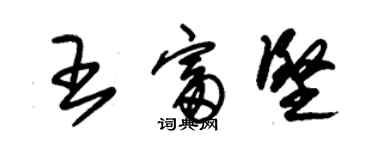 朱锡荣王富坚草书个性签名怎么写