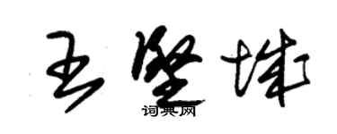 朱锡荣王坚城草书个性签名怎么写