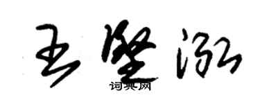 朱锡荣王坚泓草书个性签名怎么写