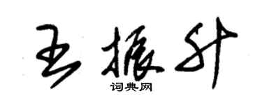 朱锡荣王振升草书个性签名怎么写