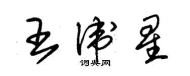 朱锡荣王卫星草书个性签名怎么写
