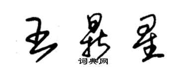 朱锡荣王鼎星草书个性签名怎么写