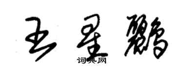 朱锡荣王星鹂草书个性签名怎么写