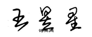 朱锡荣王昱星草书个性签名怎么写