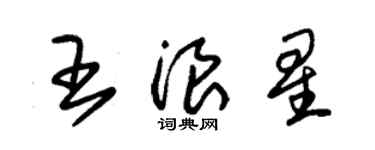 朱锡荣王浪星草书个性签名怎么写