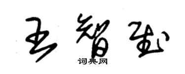 朱锡荣王智慰草书个性签名怎么写