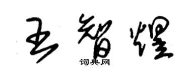 朱锡荣王智煜草书个性签名怎么写