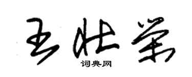 朱锡荣王壮荣草书个性签名怎么写