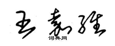 朱锡荣王嘉维草书个性签名怎么写
