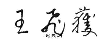 骆恒光王飞获草书个性签名怎么写