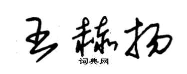 朱锡荣王赫扬草书个性签名怎么写