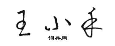 骆恒光王小禾草书个性签名怎么写