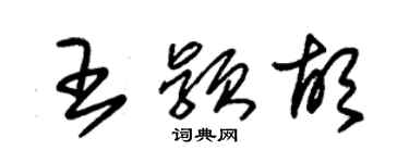 朱锡荣王颖胡草书个性签名怎么写