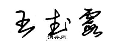 朱锡荣王武霞草书个性签名怎么写