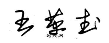 朱锡荣王革武草书个性签名怎么写