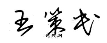 朱锡荣王策民草书个性签名怎么写