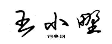 朱锡荣王小野草书个性签名怎么写