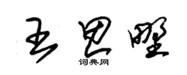 朱锡荣王思野草书个性签名怎么写