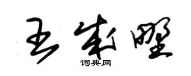 朱锡荣王成野草书个性签名怎么写