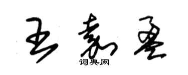 朱锡荣王嘉盈草书个性签名怎么写